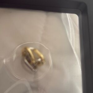 NEW IN BOX. double hoop earrings